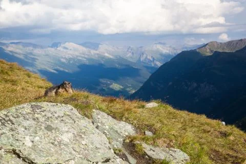 A marmot Stock Photos