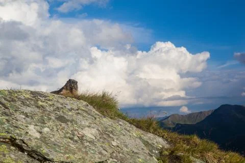 A marmot Stock Photos