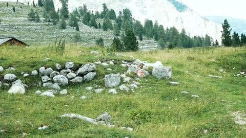 Marmot standing in the sun on the alpine mountains of South Tyrol Stock-Footage 103797526