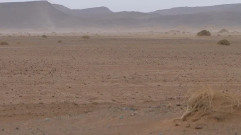 Maroccan arid landscape, wind raises the sand, Africa in 4K Stock Footage 92055577