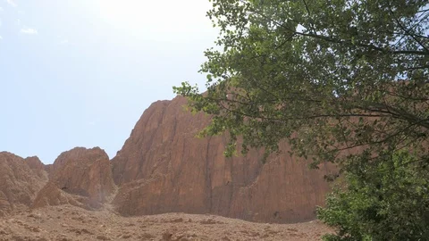 Maroccan hinterland, tree and mountain, sunny day, Africa in 4K Stock Footage 92054813