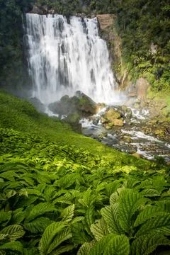 Marokopa Falls Stock Photos