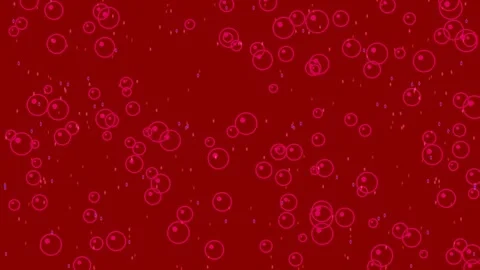 Maroon abstract bubble pattern overlay background for party celebration desig Stock Footage 336539016