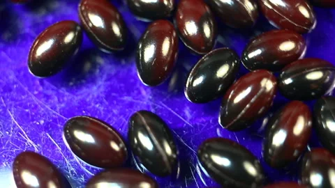 Maroon and black oval spindle-shaped capsules in a shiny gel shell move smoothly Stock Footage 144855255