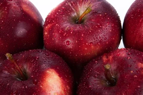 Maroon apples closeup Stock Photos