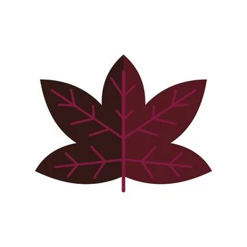 Maroon autumn maple leaf vector illustration Illustrazione stock