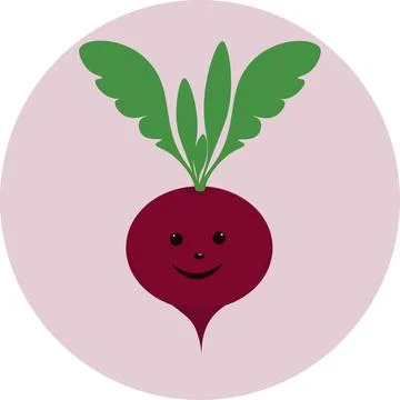 Maroon beetroot with green leaves. Vegetable ingredient for cooking Stock Illustration