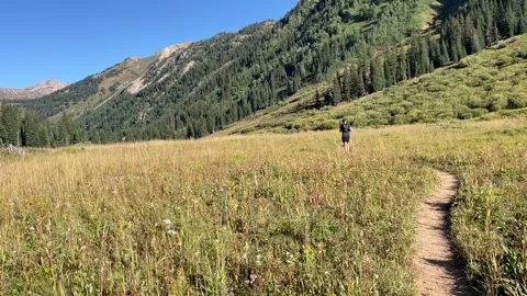 Maroon Bells 4 Pass Loop Trail run: through a meadow Video stock 329455094