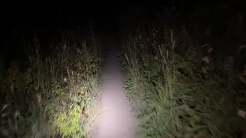 Maroon Bells 4 Pass Loop Trail run: finishing in the dark Stock Footage 329455115