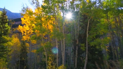 Maroon Bells car driving side pov slow motion in Colorado autumn Stock Footage 140404182