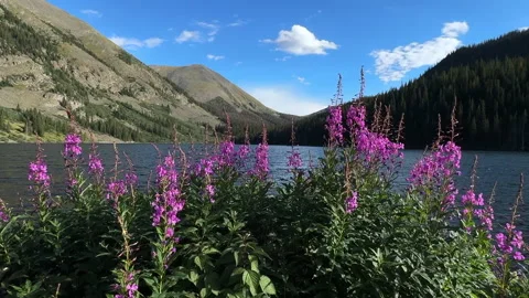 Maroon Bells on Mirror Lake Vídeos de archivo 330602528