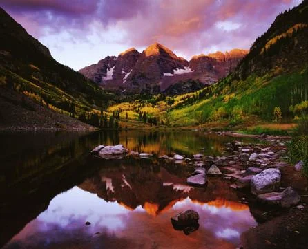 MAROON BELLS Stock Photos