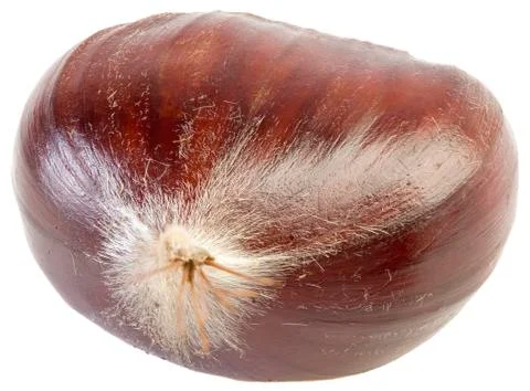 Maroon cutout Stock Photos