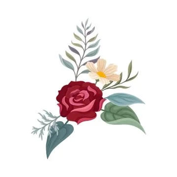 Maroon rose next to a camomile. Vector illustration on a white background. 스톡 일러스트