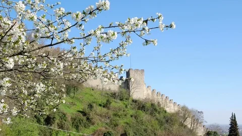 Marostica - Cherry bloom and castle  - Motion view Stock Footage 73876182