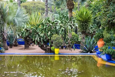 Marrakech gardens Stock Photos