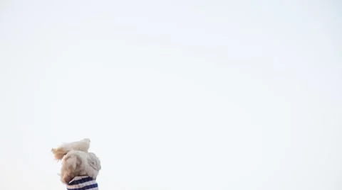 Marrakech - Man with two chickens on his head#2 Video stock 40496409