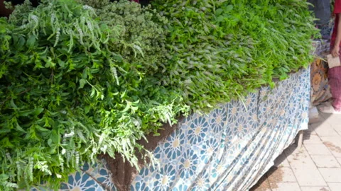 Marrakech, morocco. August 8, 2026. Bunches of fresh green mint for sale at a Stock Footage 343136435