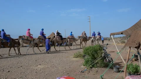 Marrakech, morocco. August 9, 2026. A camel caravan leading tourists on a desert Stock Footage 343946015