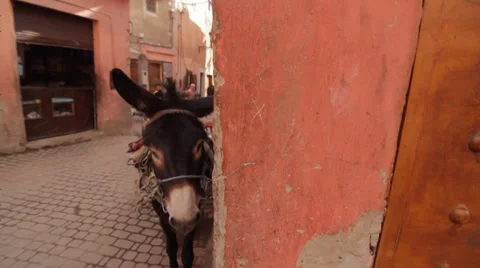 MARRAKECH STREET Stock Footage 28060472