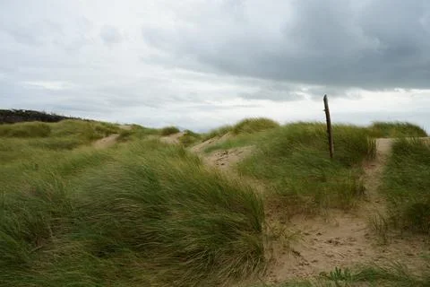 Marram Grass On Sandy Dunes Under Overcast Sky Llanddwyn Beach Anglesey North Stock Photos