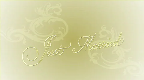 Marriage Stock Footage 823334