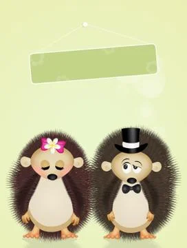 Marriage of hedgehogs Stock Illustration