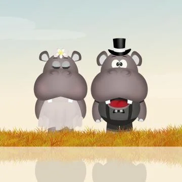 Marriage of hippos Stock Illustration