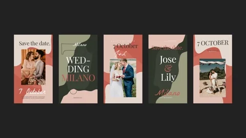 Marriage Instagram Reels After Effects stock