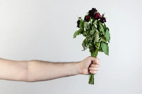 Marridge problems, man hold old dead flowers couples divorce depression rose Stock Photos
