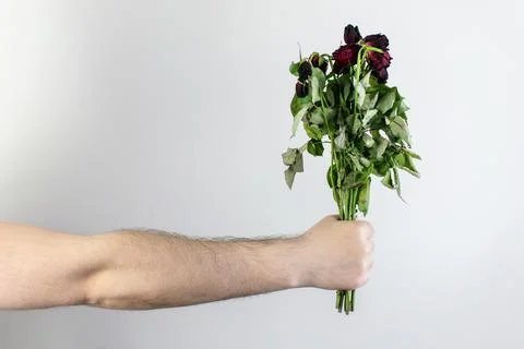 Marridge problems, man hold old dead flowers couples divorce depression rose Foto stock