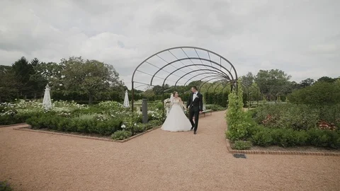 Married couple walking down the park and holding their hands. Stock Footage 103951205