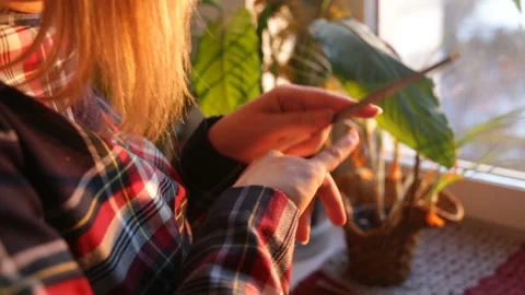 A married white woman does her own manicure. Hands and hair close up. Girl doing Stock Footage 87828336