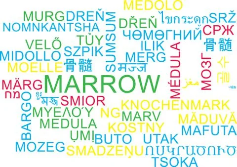 Marrow multilanguage wordcloud background concept Stock-Illustration