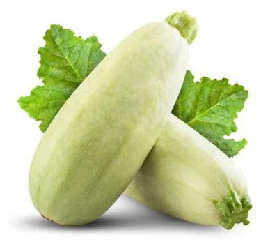 Marrow Stock Photos