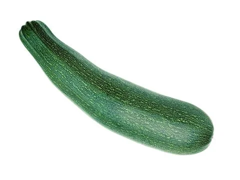 Marrow. Stock Photos