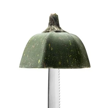 Marrow will grow morrow. Stock Photos