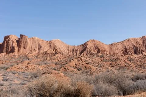 Mars Canyon red sandstone cliffs and desert shrubs under clear blue sky, Stock Photos
