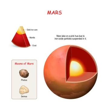 Mars internal structure. cross section of planet Stock Illustration