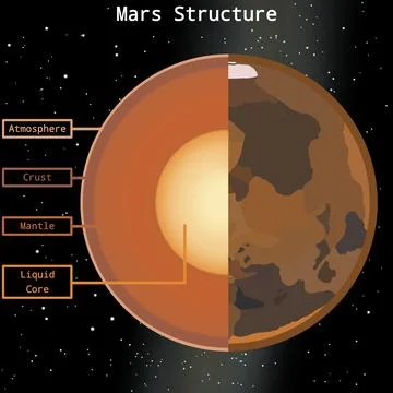 Mars Internal Structure Infographic Stock Illustration