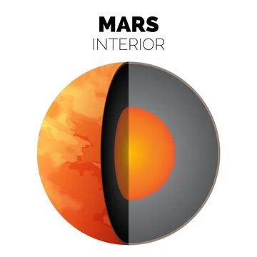 Mars Planet Interior or Layers of the Mars with Core, Rocky Mantle and Soli.. イラスト素材