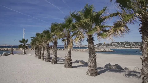 Marseille, Beach with Palm trees and kitesurfers, 4K footage Stock Footage 117691948