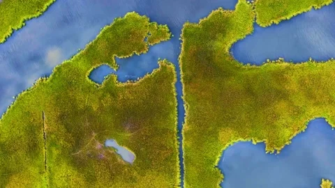 Marsh 1 Stock Footage 157890303