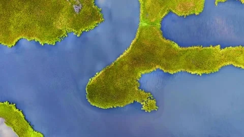 Marsh 2 Stock Footage 157890307