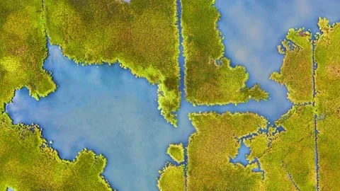 Marsh 3 Stock Footage 157890279