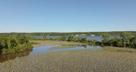Marsh and Swamp at Kingston Point and Hudson River Stock Footage 329894357