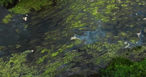 Marsh Dirty River Dark Waters Cloudy Day Rural Green Swamp Mud Waters Aerial Top Stock Footage 300444950