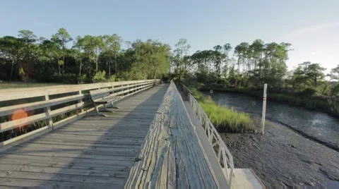 Marsh Dock 動画素材 66477959