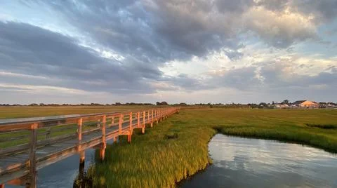 Marsh at Dusk 写真素材