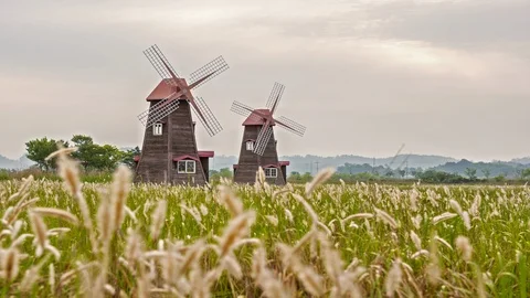 Marsh ecological park Stock Footage 105037927